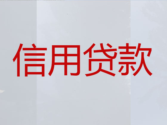 朔州贷款公司-银行信用贷款